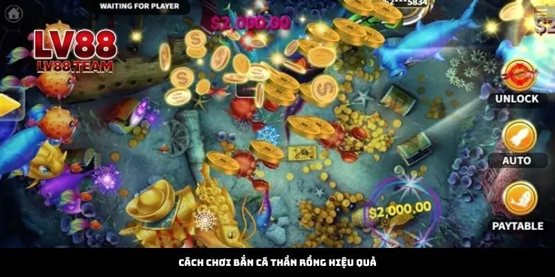 Trang chủ 13 Cách Chơi Bắn Cá LV88