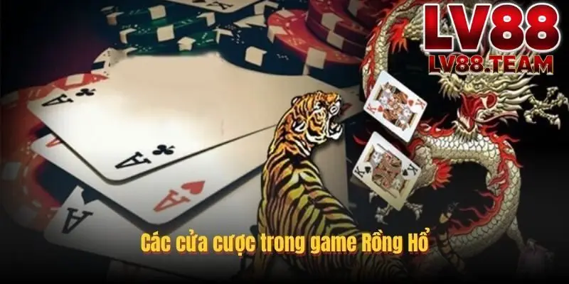 Các cửa cược phổ biến trong Rồng hổ