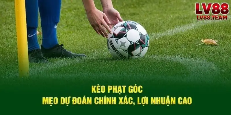 Lưu ý khi tìm hiểu kèo 